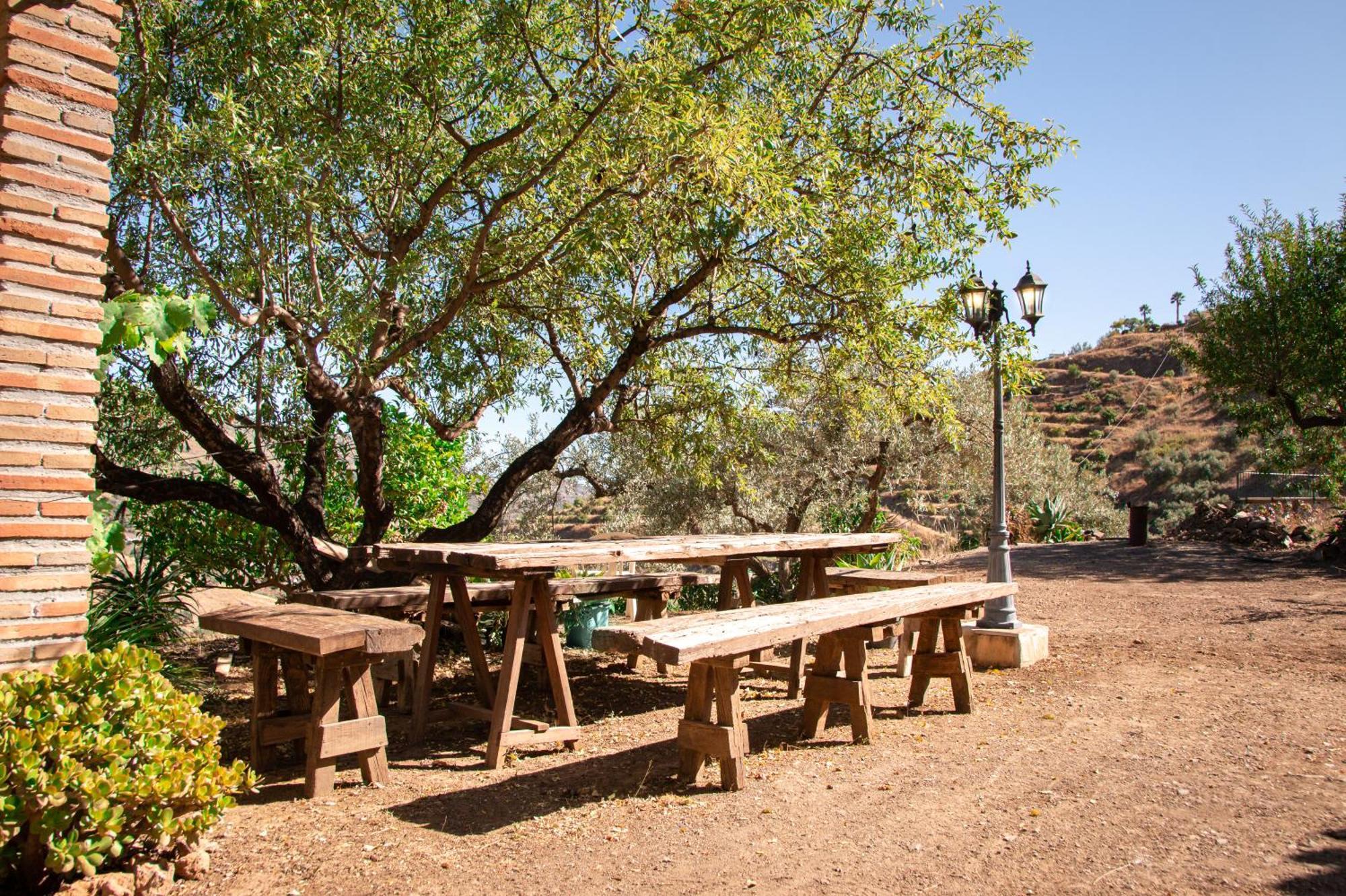 Holiday home Alegre Y Ole *